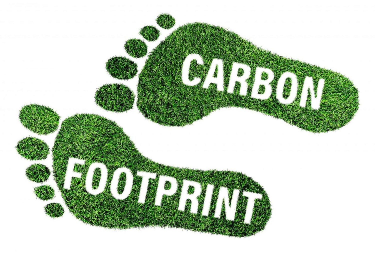 Reducing your company’s carbon footprint