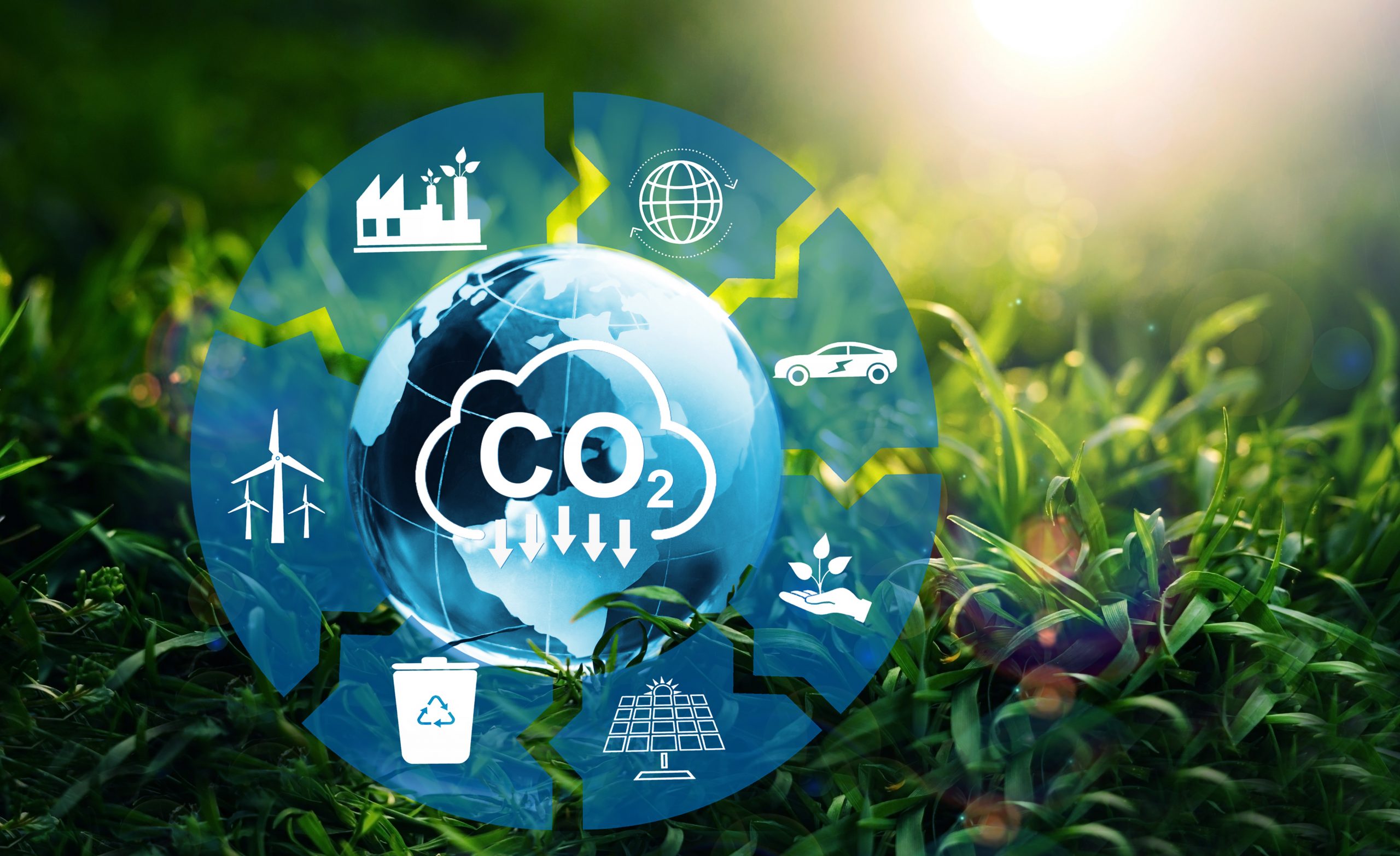 How big was your business’s eco-footprint in 2022?